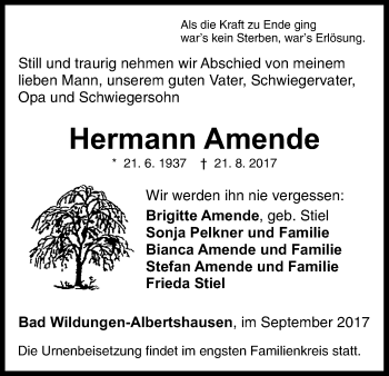 Traueranzeige von Hermann Amende von Waldeckische Landeszeitung