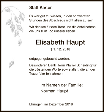 Traueranzeige von Elisabeth Haupt von WLZ