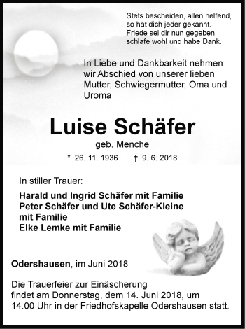 Traueranzeige von Luise Schäfer von WLZ