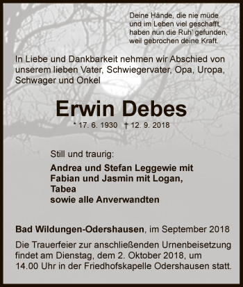 Traueranzeige von Erwin Debes von WLZ