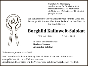Traueranzeige von Borghild Kailuweit-Salokat von WLZ