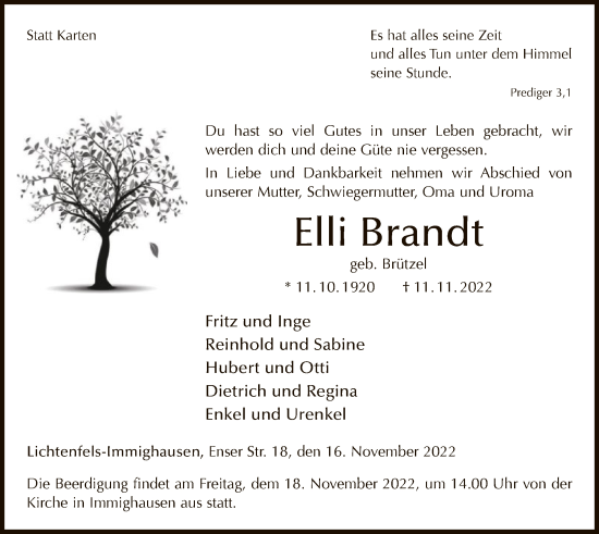 Traueranzeige von Elli Brandt von WLZ