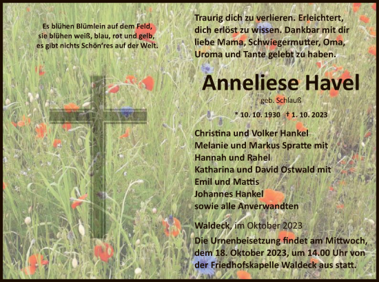 Traueranzeige von Anneliese Havel von WLZ