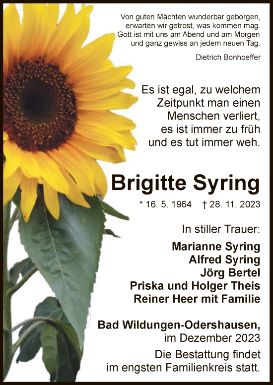 Traueranzeige von Brigitte Syring von WLZ