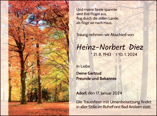 Traueranzeige von Heinz-Norbert Diez von WLZ