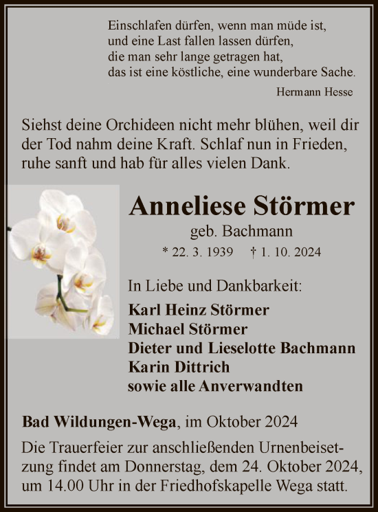 Traueranzeige von Anneliese Störmer von WLZ