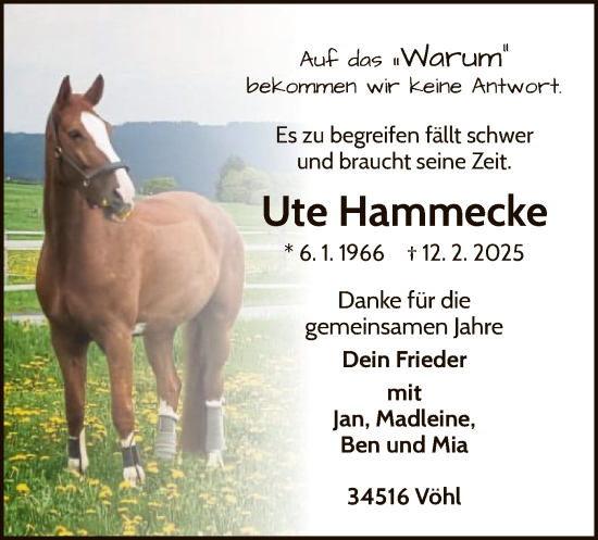 Traueranzeige von Ute Hammecke von WLZ